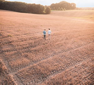 plowed fields