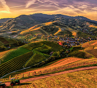 agriculture landscape