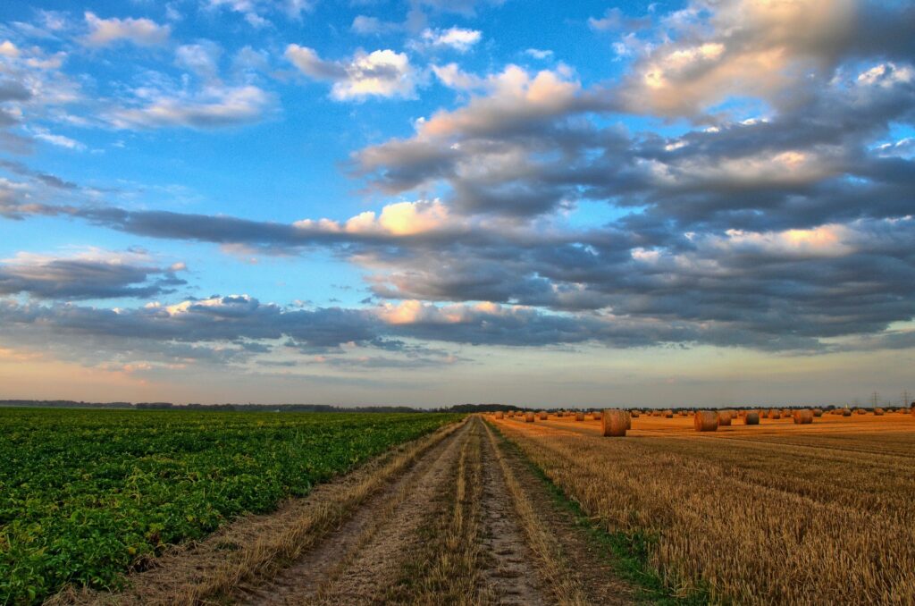 Ag Farm Fields