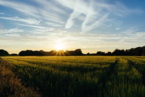 country sunrise