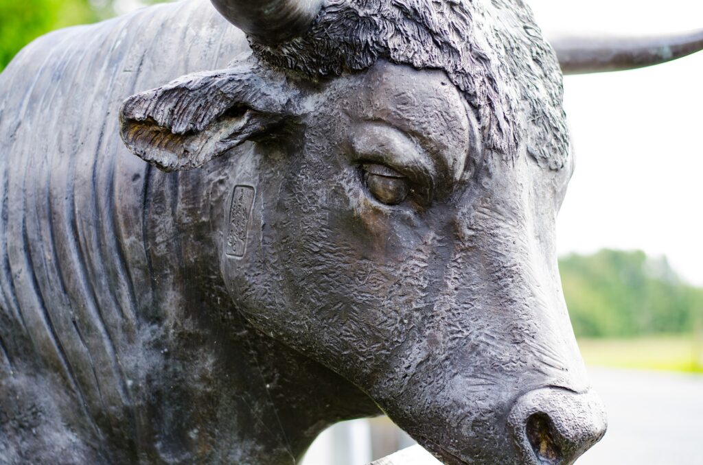 grey stone bull