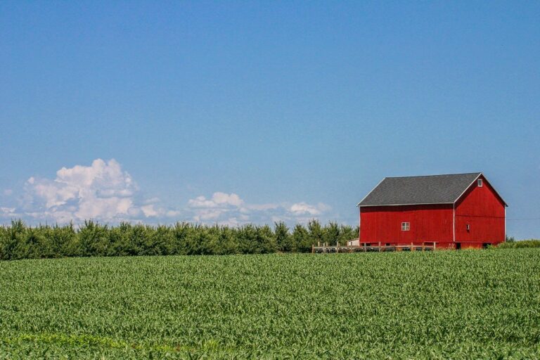 red barn in the countryside