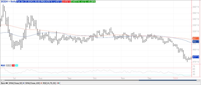 QST Corn Chart on 1.23.24