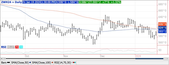 QST Wheat chart for 1.19.24