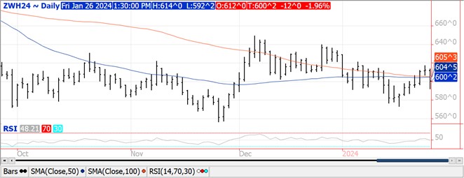QST Wheat chart 1.26.24