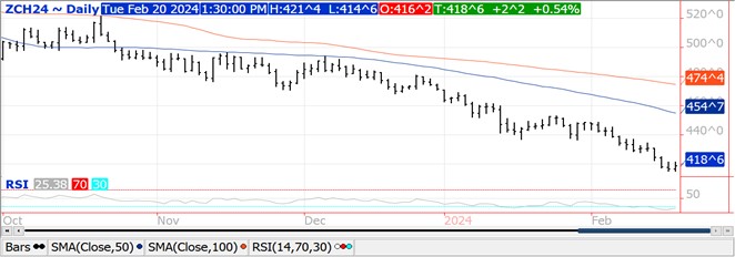 QST Corn chart for 2.20.24
