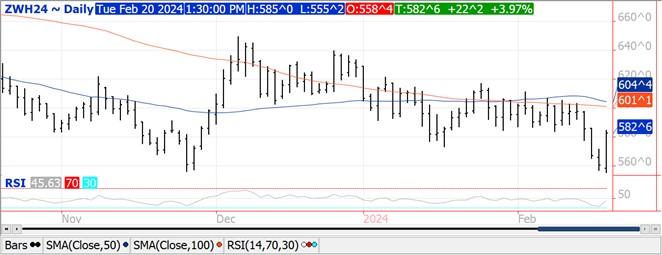 QST Wheat Chart for 2.20.24