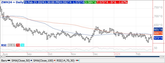 QST Wheat chart on 2.23.24