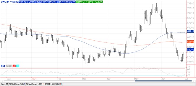 QST wheat futures chart on 7.1.24