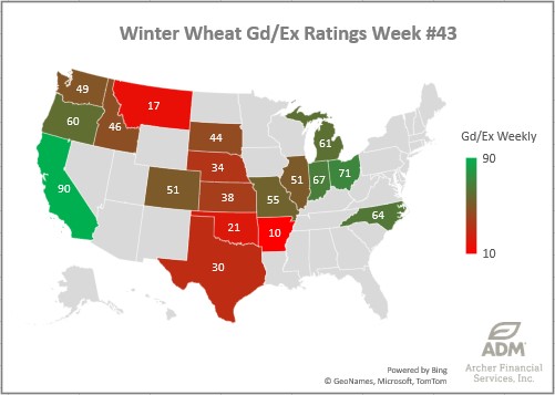 Winter Wheat ratings chart on 10.29.24