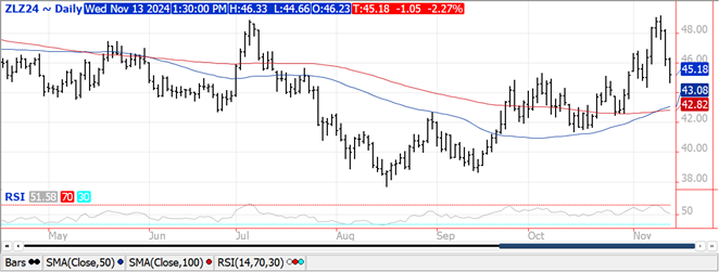 QST Soybean Chart for 11/19