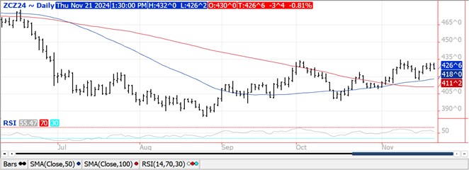 QST corn chart on 11.21.24