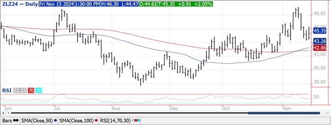 QST bean futures chart on 11.15.24