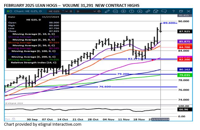 eSignal Feb LH chart on 11.29.24