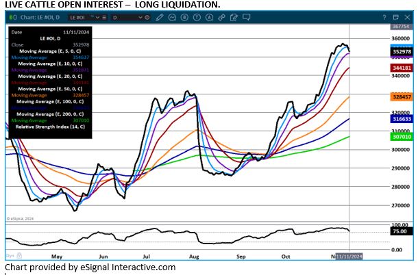 eSignal LC open Interest chart on 11.11.24
