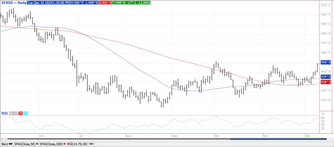 QST Corn futures chart 12.10.24