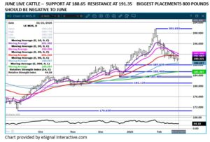 eSignal June LC chart on 2.24.25