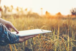 smart farming